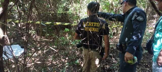 Corpo &eacute; encontrado em &aacute;rea de mata e suspeita &eacute; de ataque de javali