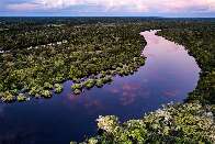 Consulta p&uacute;blica busca melhorar prote&ccedil;&atilde;o ambiental no Pantanal