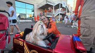 C&atilde;es dos Bombeiros encantam crian&ccedil;as em a&ccedil;&atilde;o no shopping