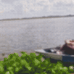 Suspeita de cad&aacute;ver no Rio Paraguai vira resgate de jovem em surto psiqui&aacute;trico