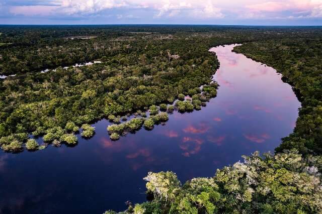 Consulta p&uacute;blica busca melhorar prote&ccedil;&atilde;o ambiental no Pantanal