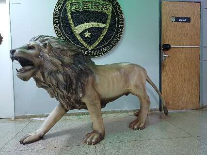 Comprador de le&atilde;o furtado diz que queria usar pe&ccedil;a para decorar jardim no Nhanha