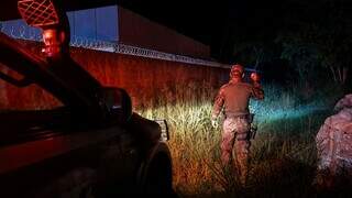 Ap&oacute;s ataque a cadela, PMA intensifica vigil&acirc;ncia de on&ccedil;as em Corumb&aacute;