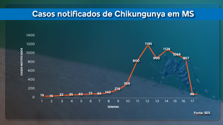 Ap&oacute;s pico, levantamento aponta tend&ecirc;ncia de queda de casos de chikungunya em MS