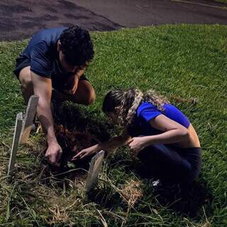 Parque que criou mem&oacute;rias frustra quem esperava curtir a aposentadoria no S&oacute;ter