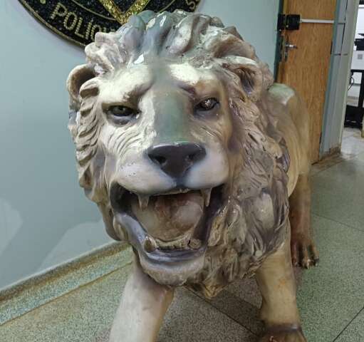 Comprador de le&atilde;o furtado diz que queria usar pe&ccedil;a para decorar jardim no Nhanh&aacute;