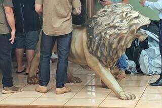 Comprador de le&atilde;o furtado diz que queria usar pe&ccedil;a para decorar jardim no Nhanh&aacute;