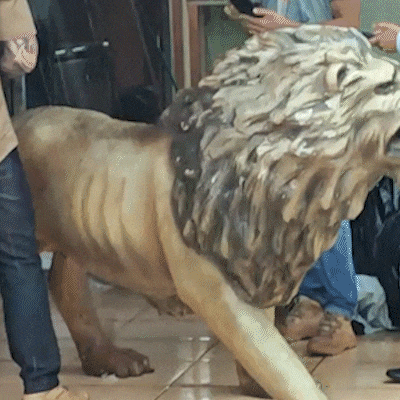 Homem que pagou R$ 200 por le&atilde;o furtado ficar&aacute; preso por tr&aacute;fico e recepta&ccedil;&atilde;o