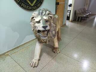 Comprador de le&atilde;o furtado diz que queria usar pe&ccedil;a para decorar jardim no Nhanh&aacute;