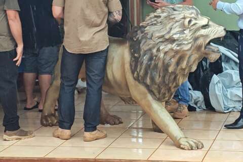 Homem que pagou R$ 200 por le&atilde;o furtado ficar&aacute; preso por tr&aacute;fico e recepta&ccedil;&atilde;o