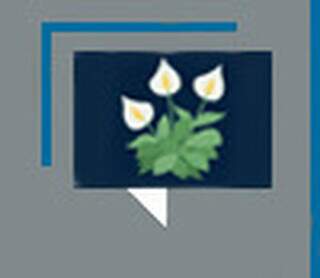 O poder brando das flores nas negocia&ccedil;&otilde;es de paz