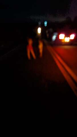 Pane em caminh&atilde;o provoca acidente e interdita trecho da MS-376