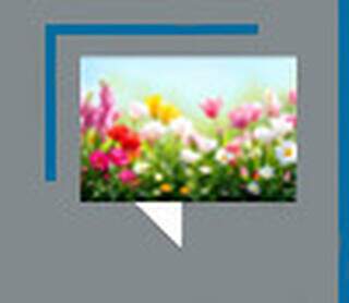 O poder brando das flores nas negocia&ccedil;&otilde;es de paz