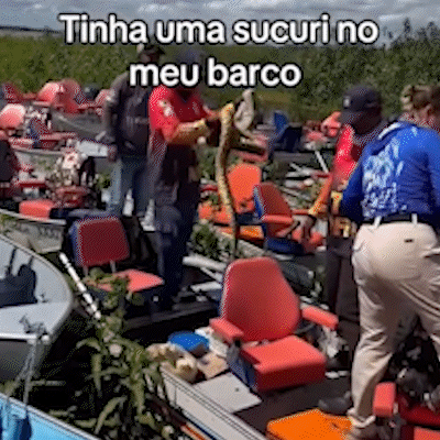 Amigas encontram sucuri dentro do barco durante pescaria no Rio Paraguai