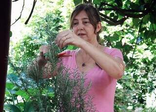 Mais que cheiro bom: banho de alecrim vira aliado contra o des&acirc;nimo