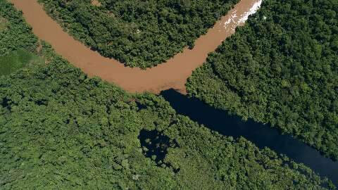 Rico em diversidade, Delta do Salobra pode virar ref&uacute;gio da vida silvestre