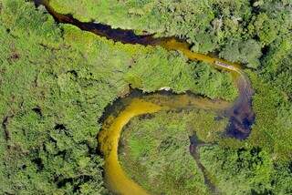 Rico em diversidade, Delta do Salobra pode virar ref&uacute;gio da vida silvestre