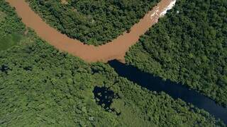 Rico em diversidade, Delta do Salobra pode virar ref&uacute;gio da vida silvestre