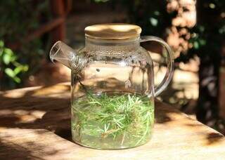 Mais que cheiro bom: banho de alecrim vira aliado contra o des&acirc;nimo