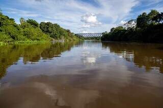 Rico em diversidade, Delta do Salobra pode virar ref&uacute;gio da vida silvestre