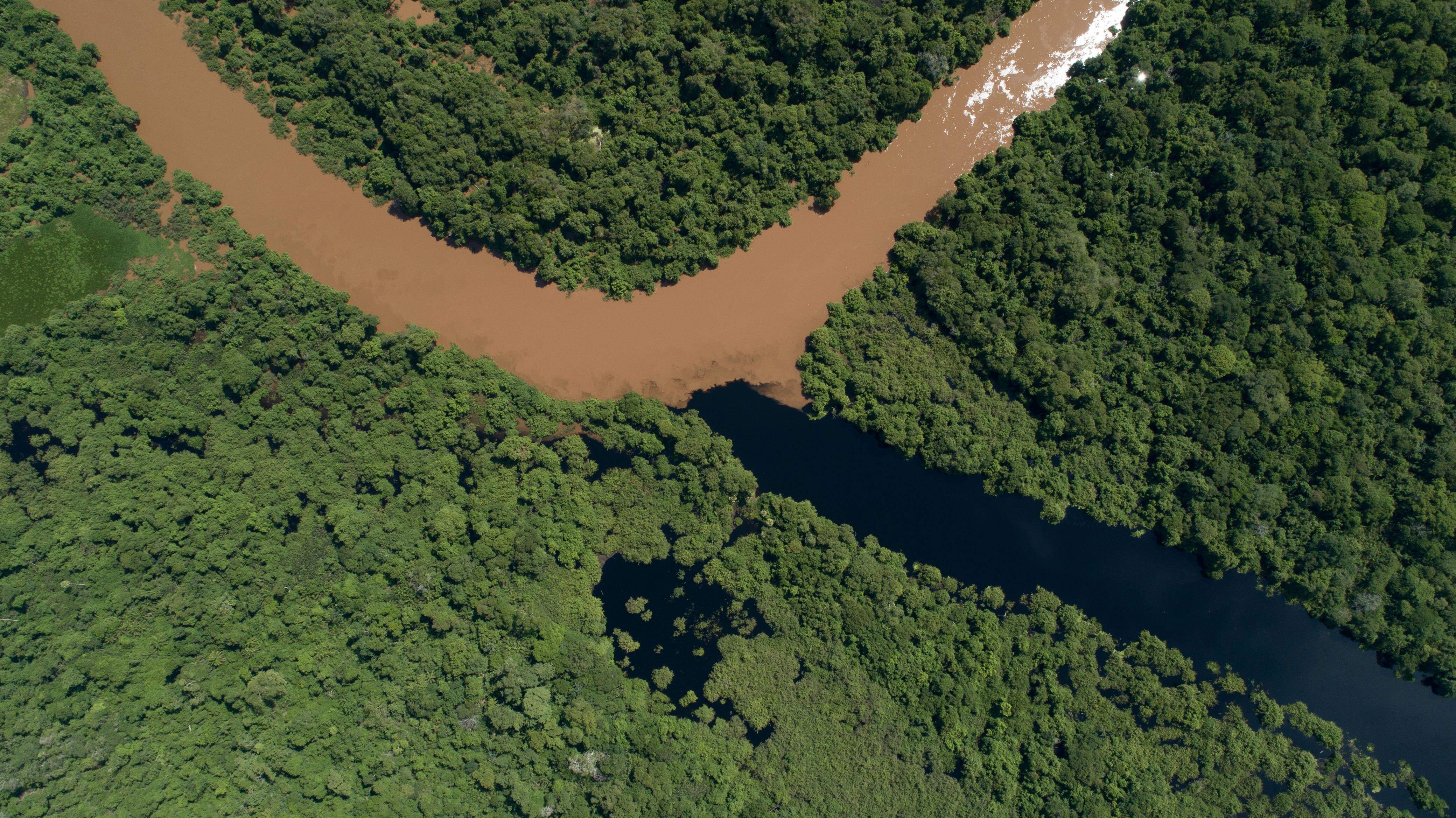Rico em diversidade, Delta do Salobra pode virar refúgio da vida silvestre