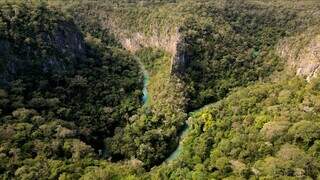 Rico em diversidade, Delta do Salobra pode virar ref&uacute;gio da vida silvestre