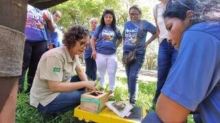 Mulheres do Pantanal apostam em abelhas sem ferr&atilde;o para gerar renda