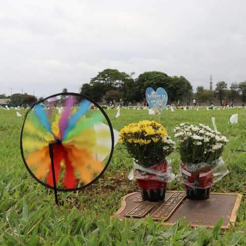 Nem o &uacute;ltimo endere&ccedil;o escapa: mutir&atilde;o judicial vai cobrar d&iacute;vida com cemit&eacute;rios