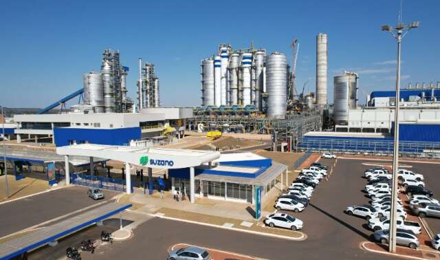 Lucro da Suzano cai 32% no trimestre, mesmo com alta nos pre&ccedil;os da celulose