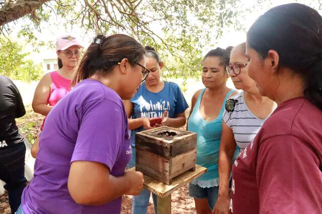 Mulheres do Pantanal apostam em abelhas sem ferr&atilde;o para gerar renda