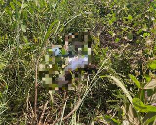 Jovem executado no "tribunal do crime" levou 32 facadas; 7 foram presos