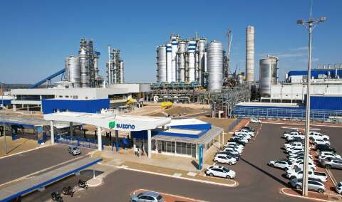 Lucro da Suzano cai 32% no trimestre, mesmo com alta nos pre&ccedil;os da celulose