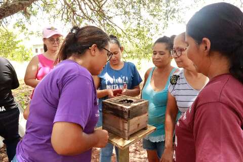 Mulheres do Pantanal apostam em abelhas sem ferr&atilde;o para gerar renda