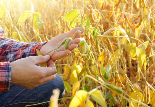 Curso gratuito reúne estudantes de agronomia com foco em tecnologia