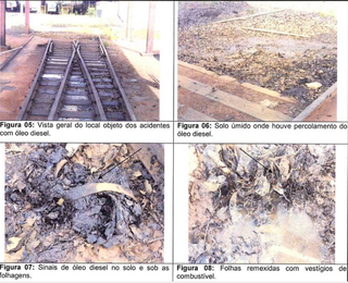 Indeniza&ccedil;&atilde;o da Rumo por polui&ccedil;&atilde;o vai proteger APA do Guariroba