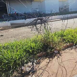 Fia&ccedil;&atilde;o solta h&aacute; um ano preocupa moradores em rua do Lar do Trabalhador