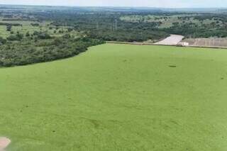 Sem an&aacute;lise completa, plantas dominam Rio Pardo h&aacute; mais de 1 ano