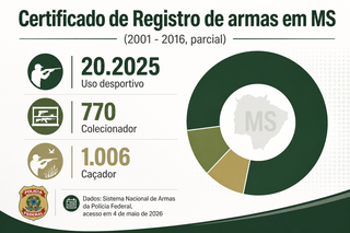 Acesso de adolescentes ao tiro esportivo reacende debate sobre seguran&ccedil;a