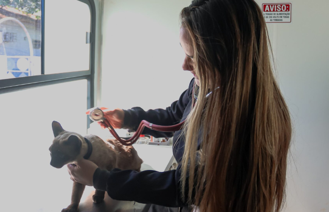 Veja o cronograma de atendimento gratuito do consult&oacute;rio m&oacute;vel veterin&aacute;rio