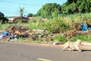 Terreno no Nova Lima vira &ldquo;lix&atilde;o&rdquo; e moradores alertam para risco de doen&ccedil;as