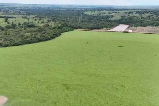 Usina atribui crise no Rio Pardo a queda de barragem e expans&atilde;o da silvicultura