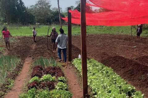Com protagonismo ind&iacute;gena, hortas superam R$ 1 milh&atilde;o em aldeias