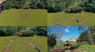 Usina atribui "sumi&ccedil;o" do Rio Pardo a queda de barragem e expans&atilde;o do eucalipto