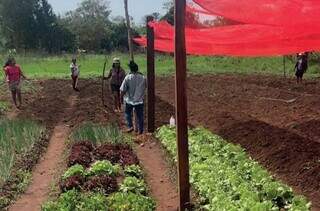 Com protagonismo ind&iacute;gena, hortas superam R$ 1 milh&atilde;o em aldeias