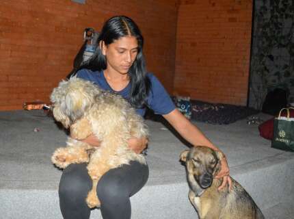 Fam&iacute;lia prefere morar na rua a ter de abrir m&atilde;o de Suzi e Luna