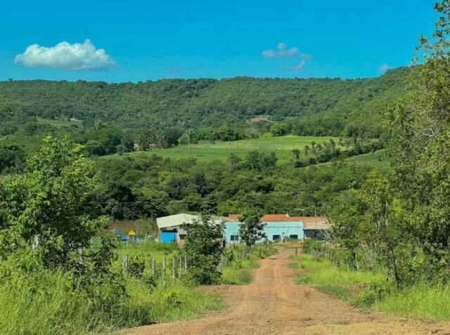 Projeto de R$ 2,4 milh&otilde;es vai definir asfalto em 62 km da MS-010 e MS-244