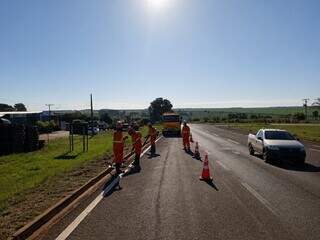 Em 100 dias, Rota da Celulose recupera 705 km e recolhe 21 toneladas de lixo 