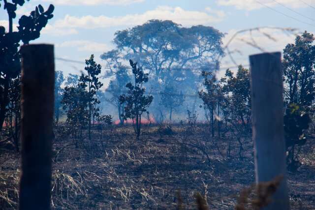 Fogo em carreta se espalha por vegeta&ccedil;&atilde;o e bombeiros ainda tentam conter chamas 