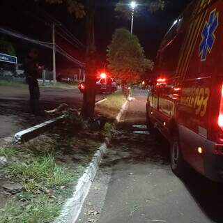 Motociclista morre ap&oacute;s bater contra &aacute;rvore em canteiro central de avenida