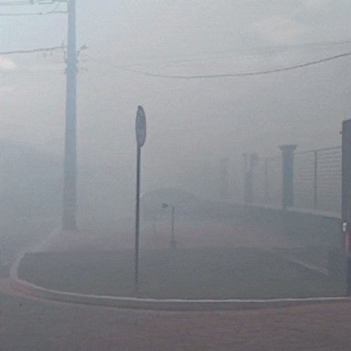 Inc&ecirc;ndio em &aacute;rea verde cobre condom&iacute;nio com fuma&ccedil;a